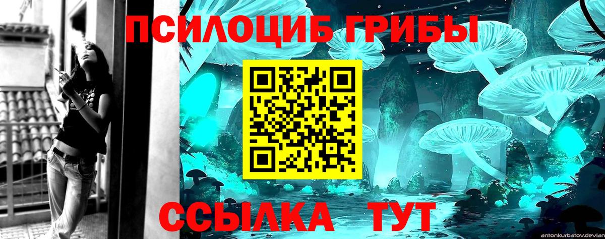 Псилоцибиновые грибы Cubensis  Вход с VPN  Кизляр 